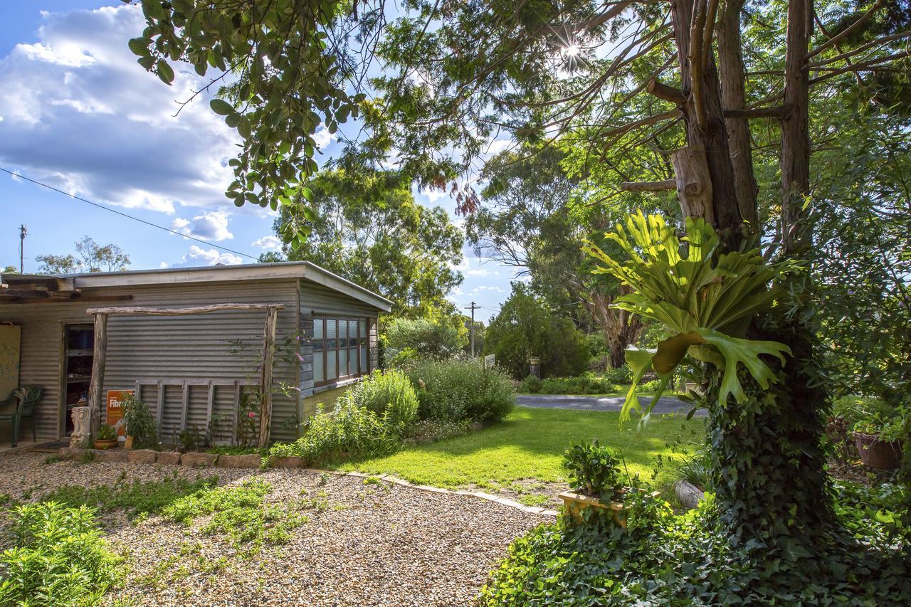 Wisteria Cottage Wyberba Exterior foto